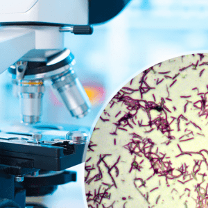 СОВРЕМЕННЫЕ МЕТОДЫ ЭФФЕКТИВНОГО ЛЕЧЕНИЯ ДИСБАКТЕРИОЗА КИШЕЧНИКА